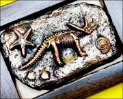공룡화석 만들기 키트 만들기재료 체험학습